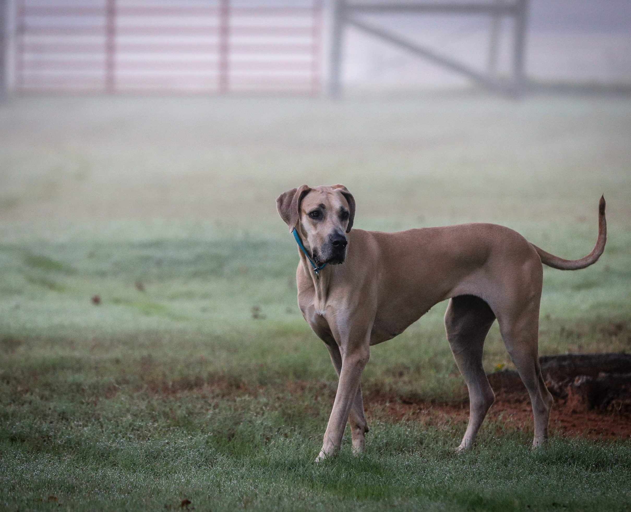 brad-r-chry27cfm5s-unsplash-scaled-e1620130101603-8373450