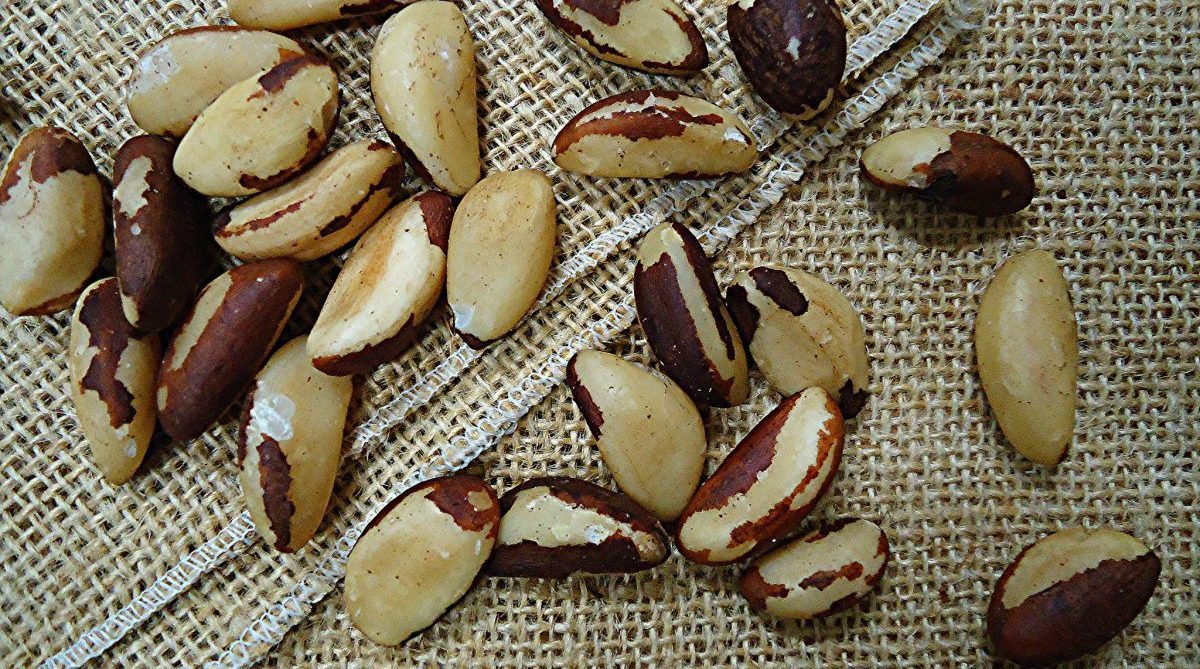 Brazil Nuts