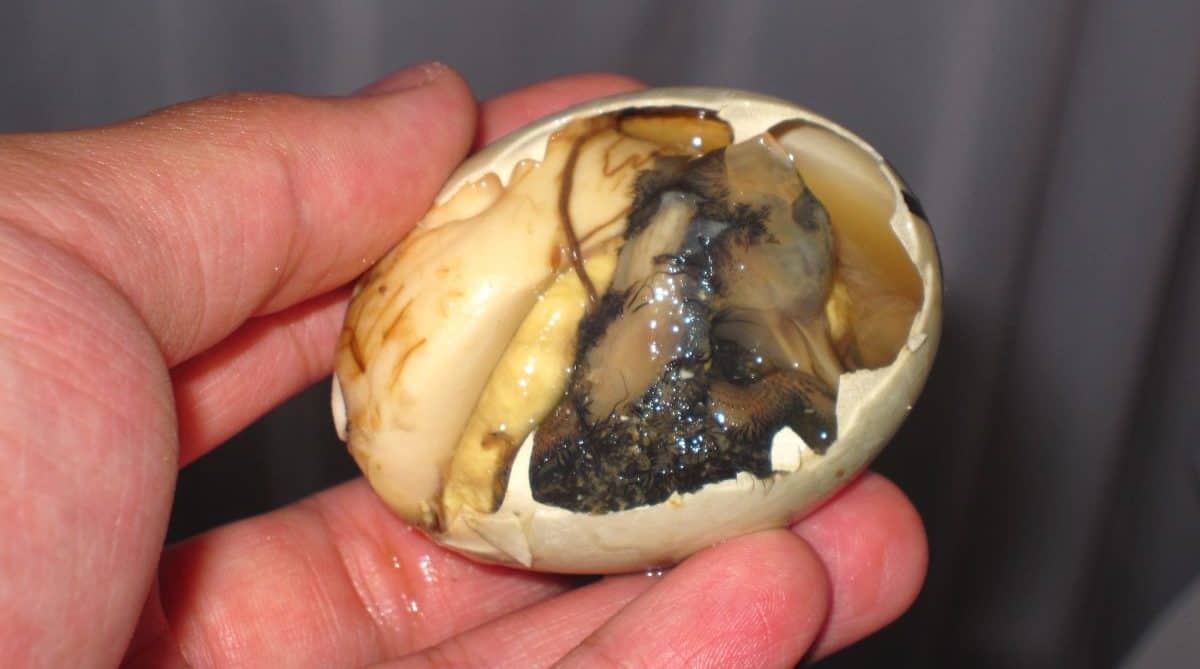 Balut