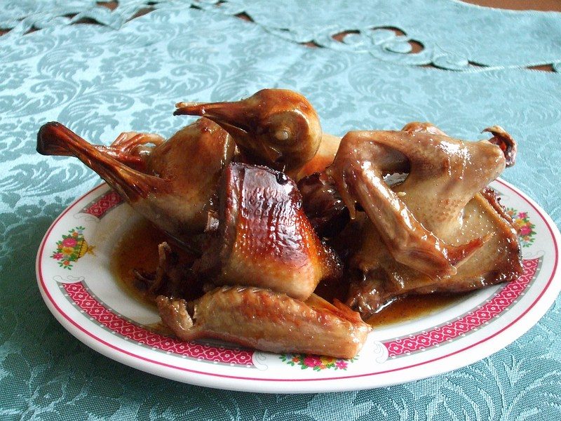 Pigeon