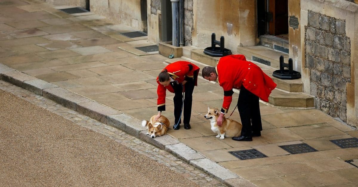 gettyimages-1243367984-scaled-e1669628589948-2323859