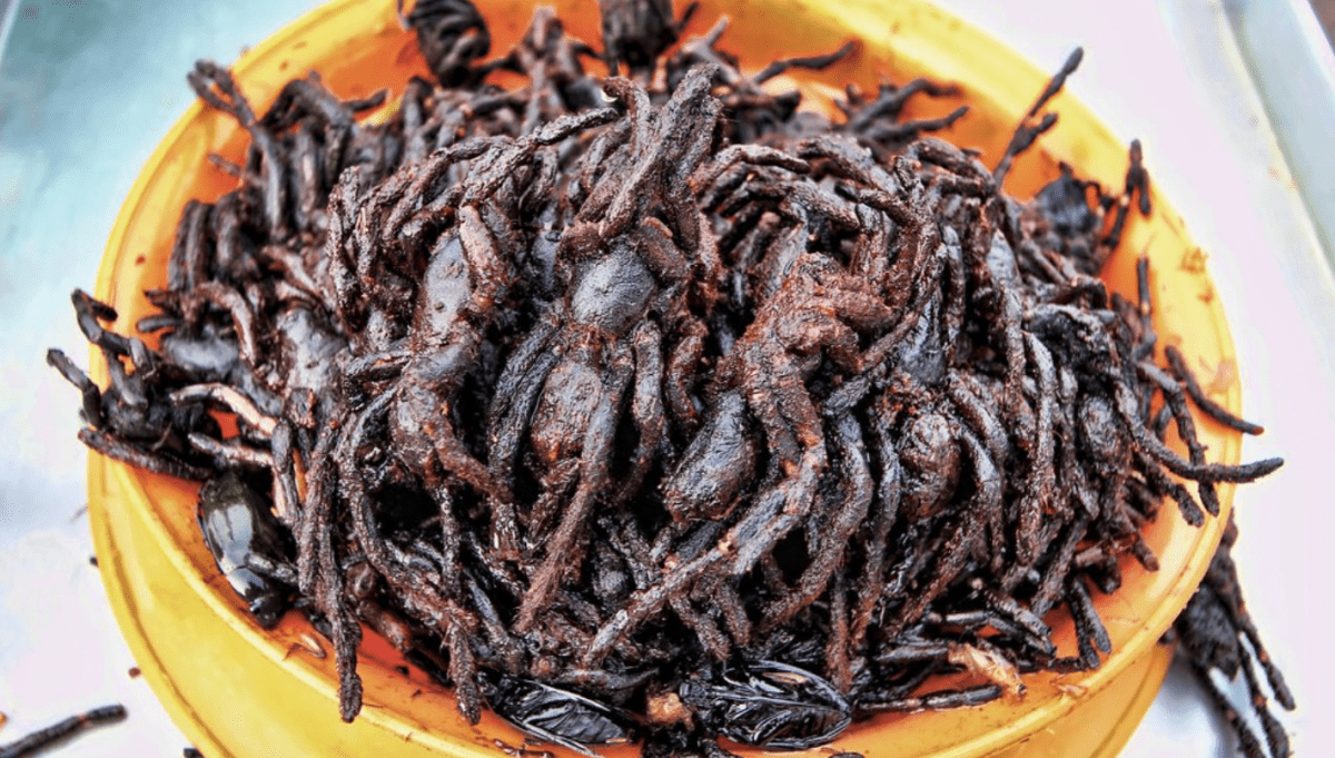 Fried Tarantulas