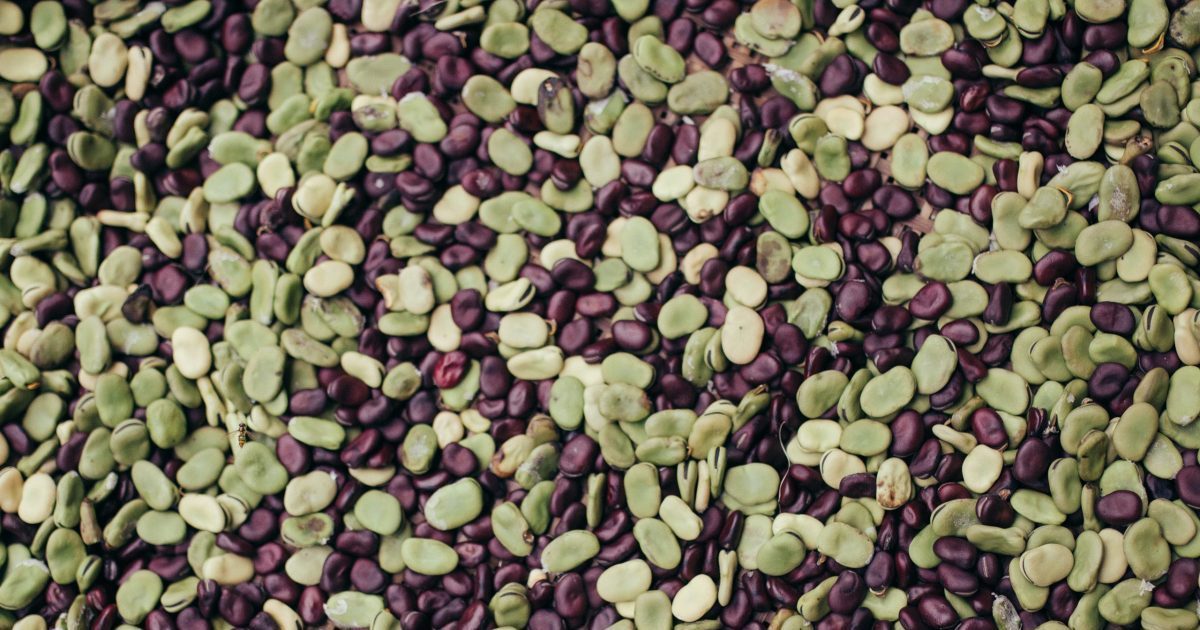 Lima beans
