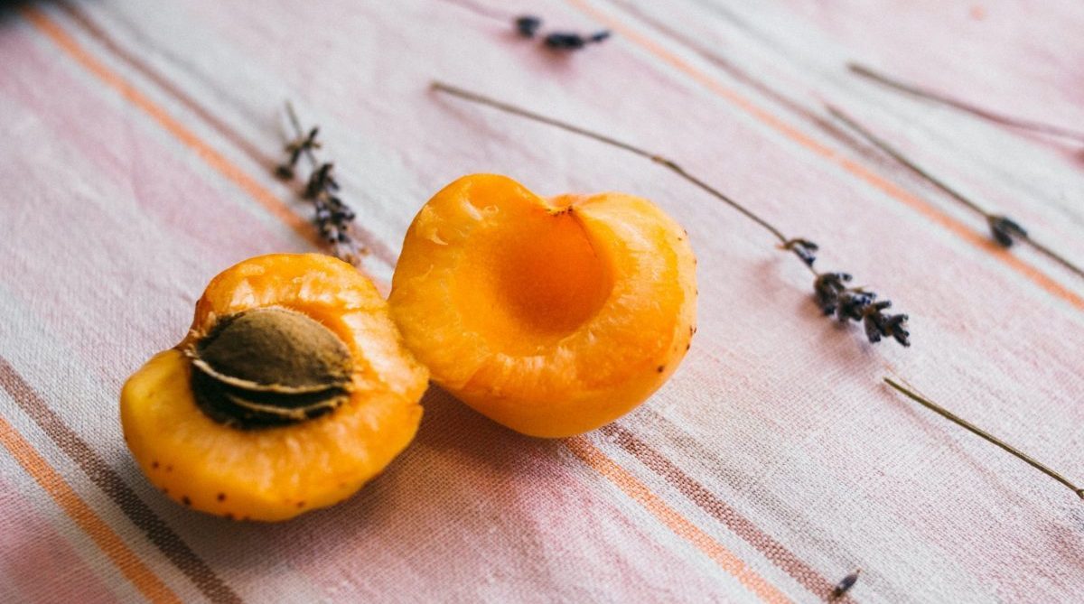 Apricot Seeds