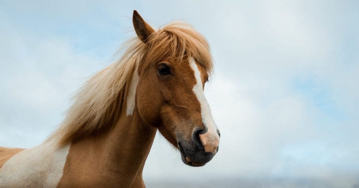 silje-midtgard-0f9ovq3x2ak-unsplash-scaled-e1671615637518-1006621