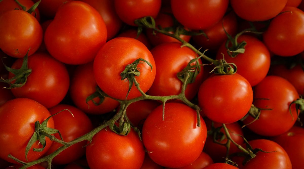Tomatoes