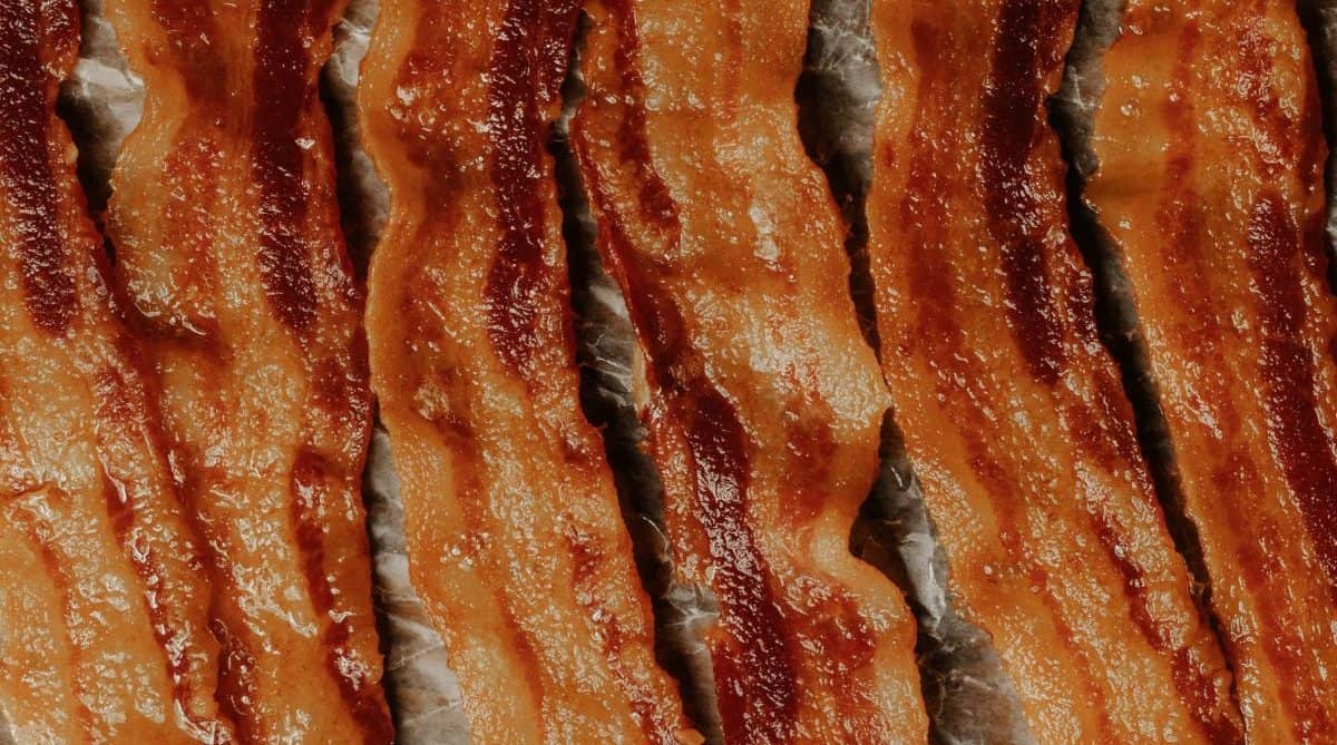 Bacon