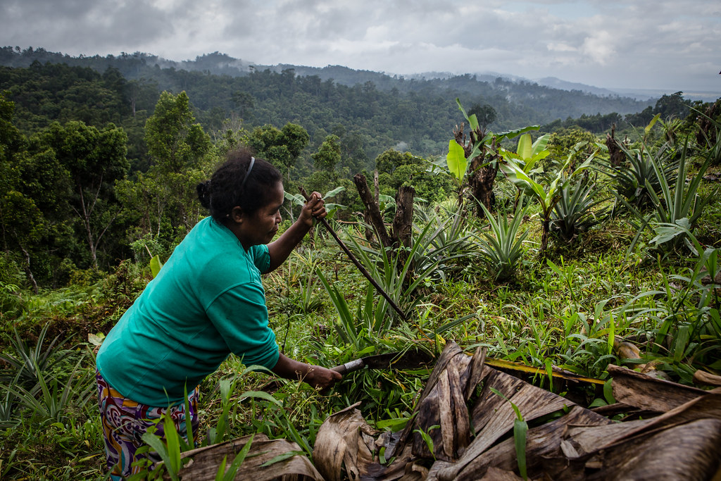 Woman farming in the Amazon Rainforest