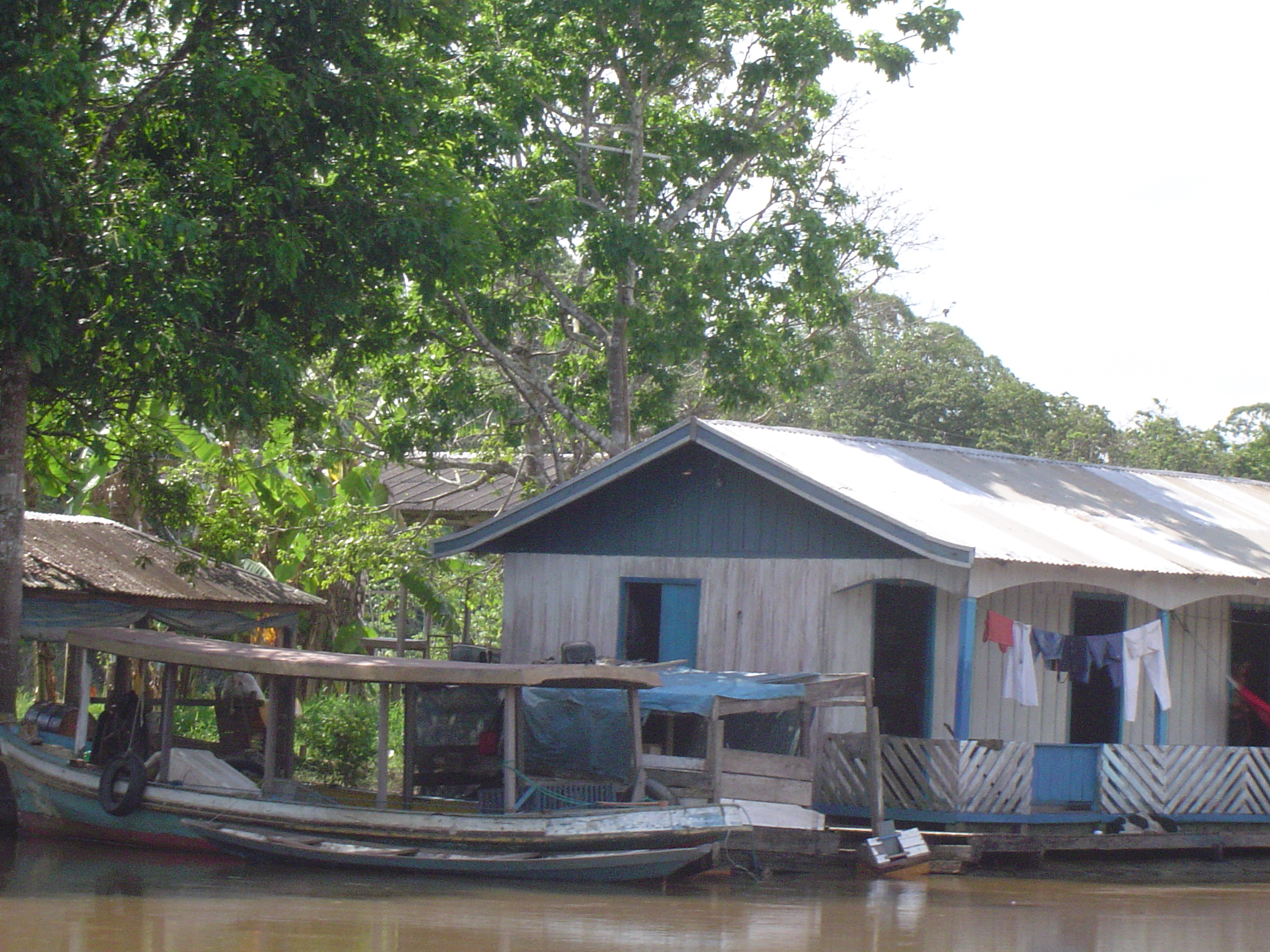 amazon_rainforest_natives_-_panoramio