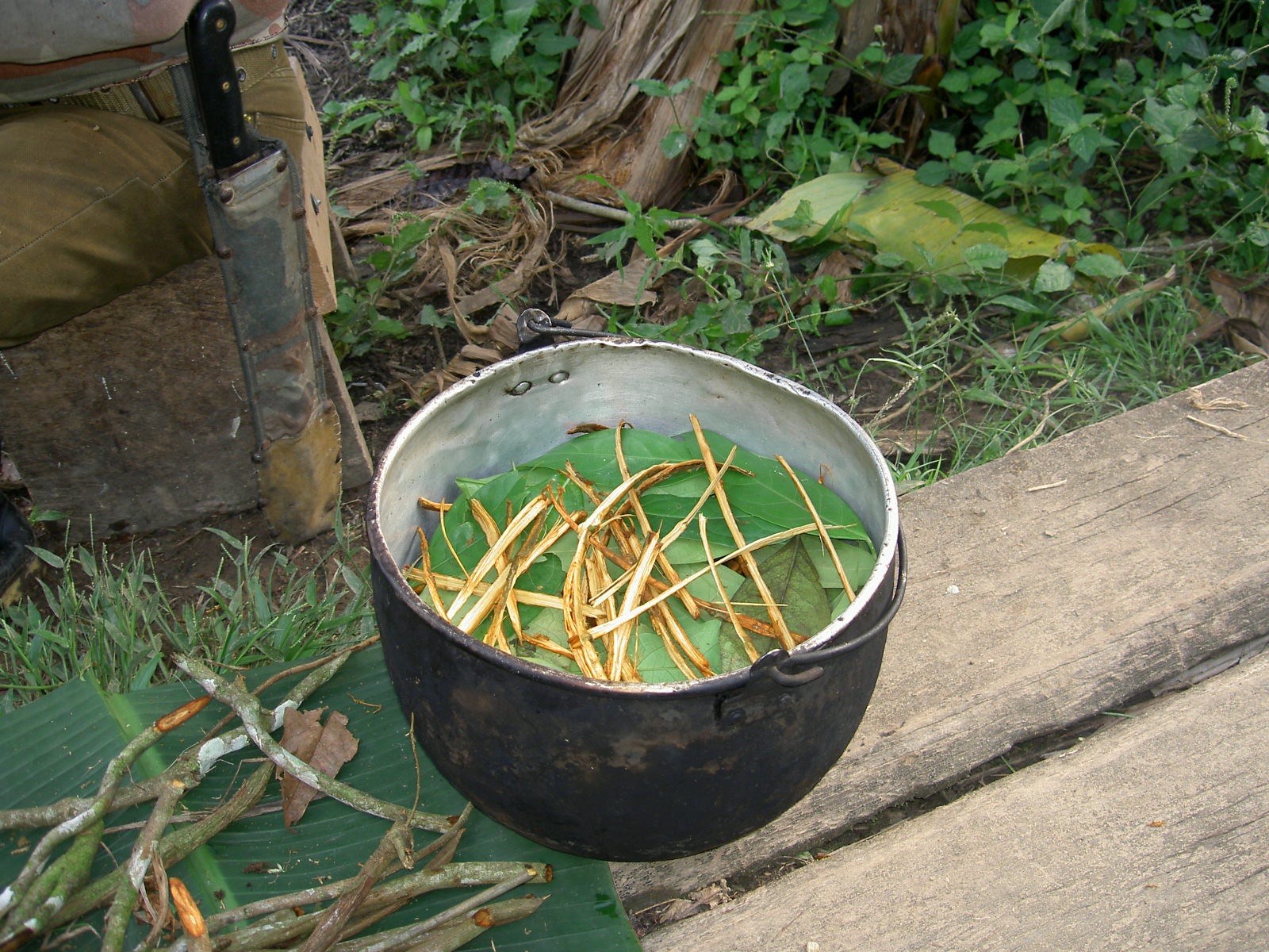 Brewing pot