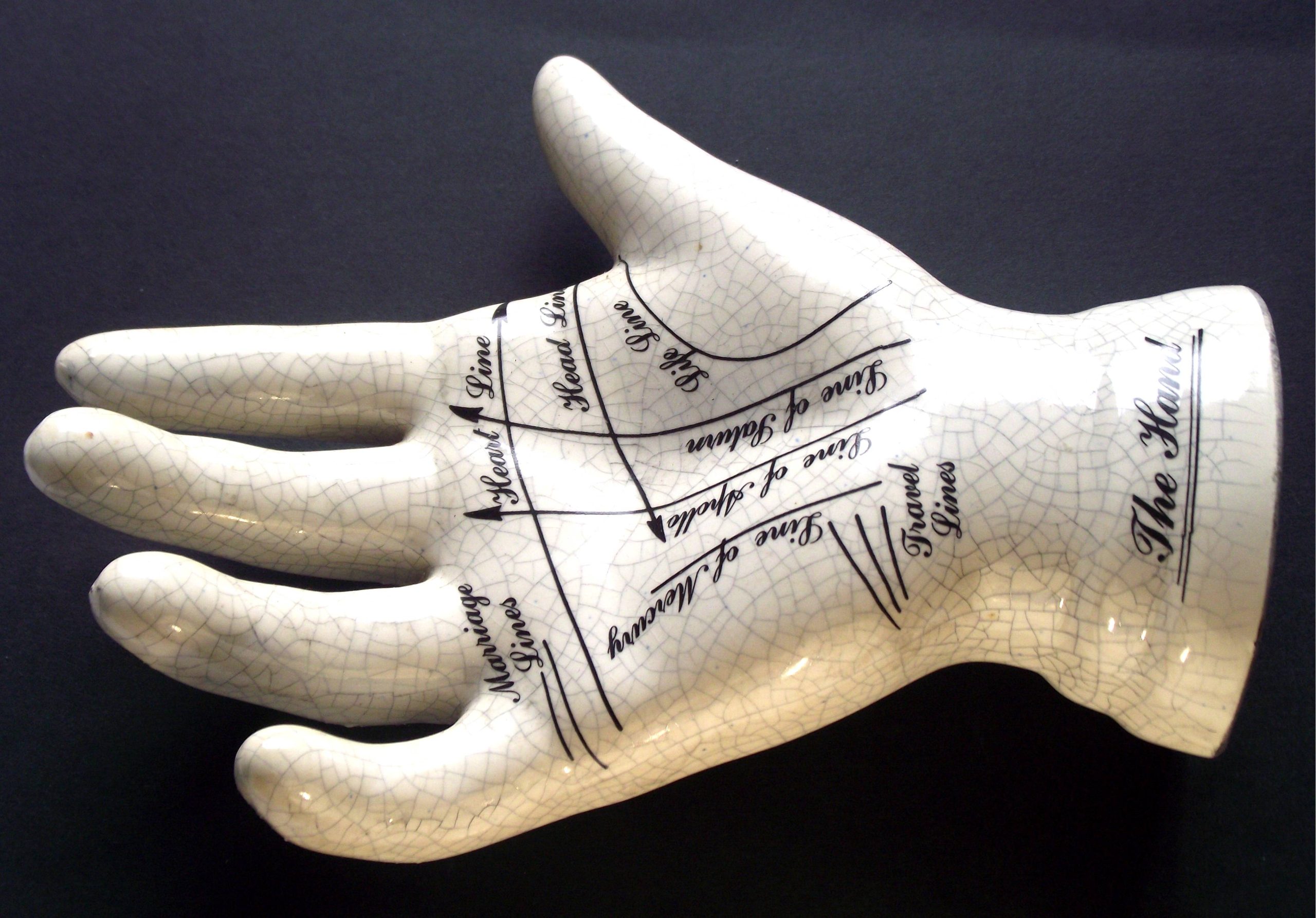 Palm model