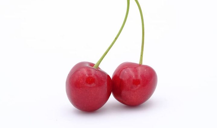 cherry-sweet-cherry-bird-cherry-prunus-avium