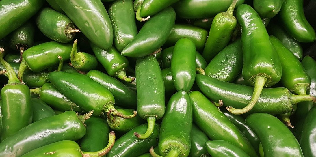 jalapenos-1320629_1280