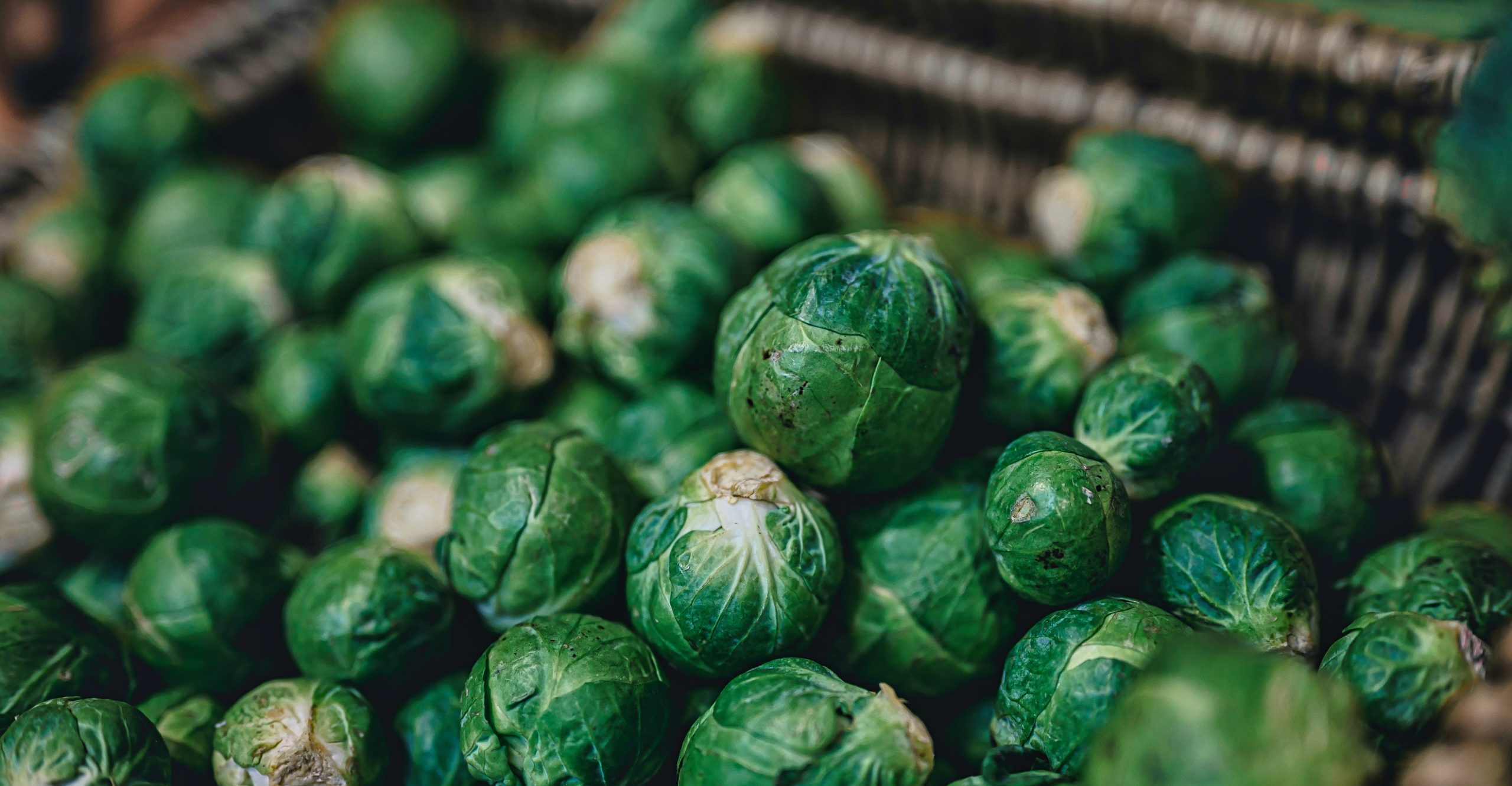jez-timms-ia9z68ynjdy-unsplash-scaled-e1678694680585
