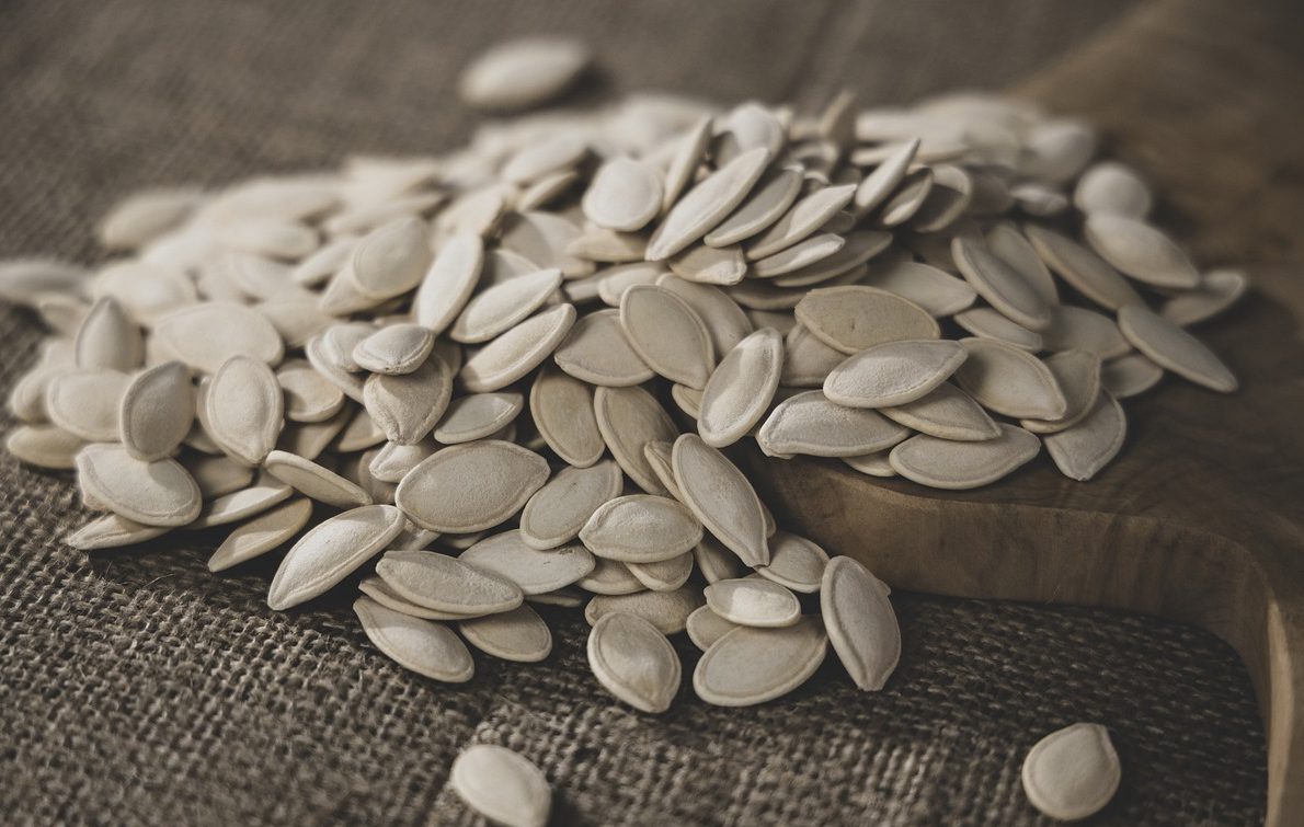 pumpkin-seeds-5612187_1280