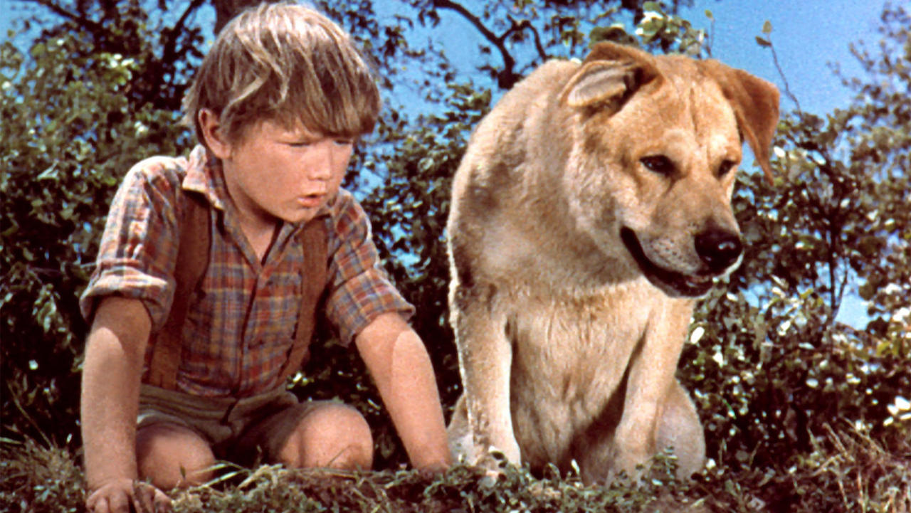old-yeller-kevin-corcoran-1957