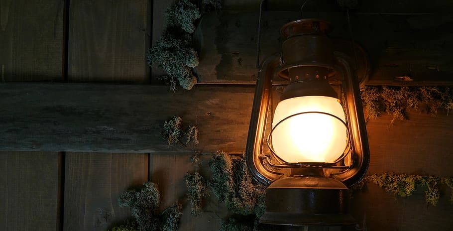 lantern-wood-plant-lamp