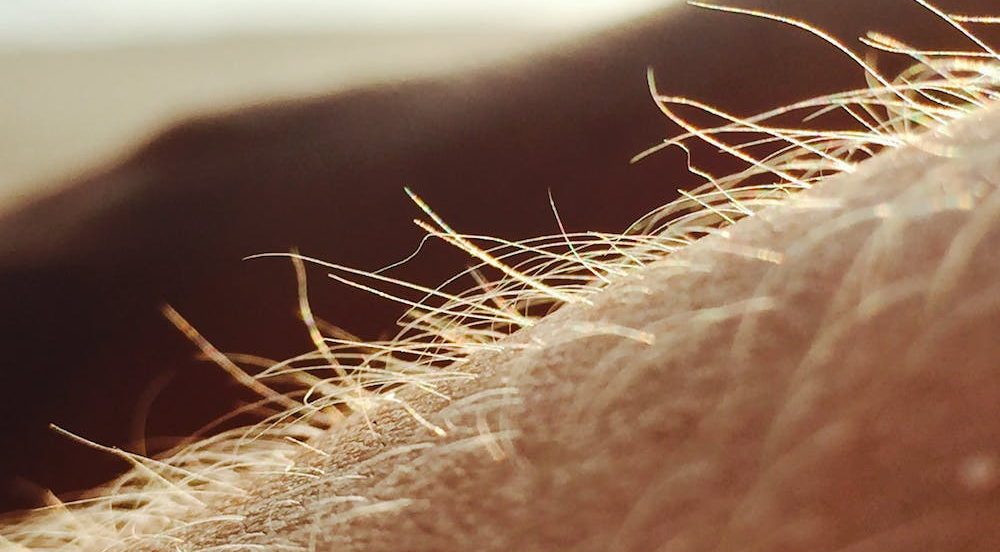 pexels-photo-58050