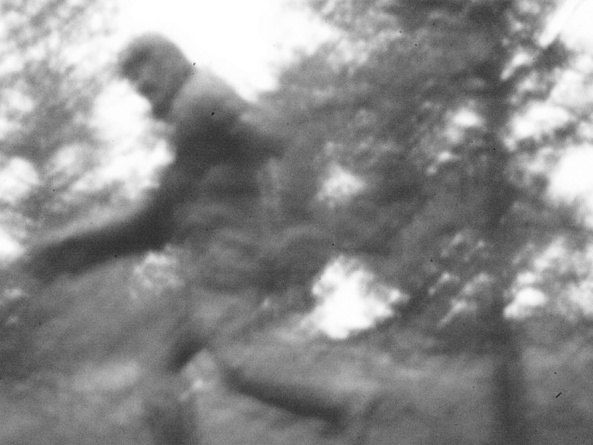 bigfoot