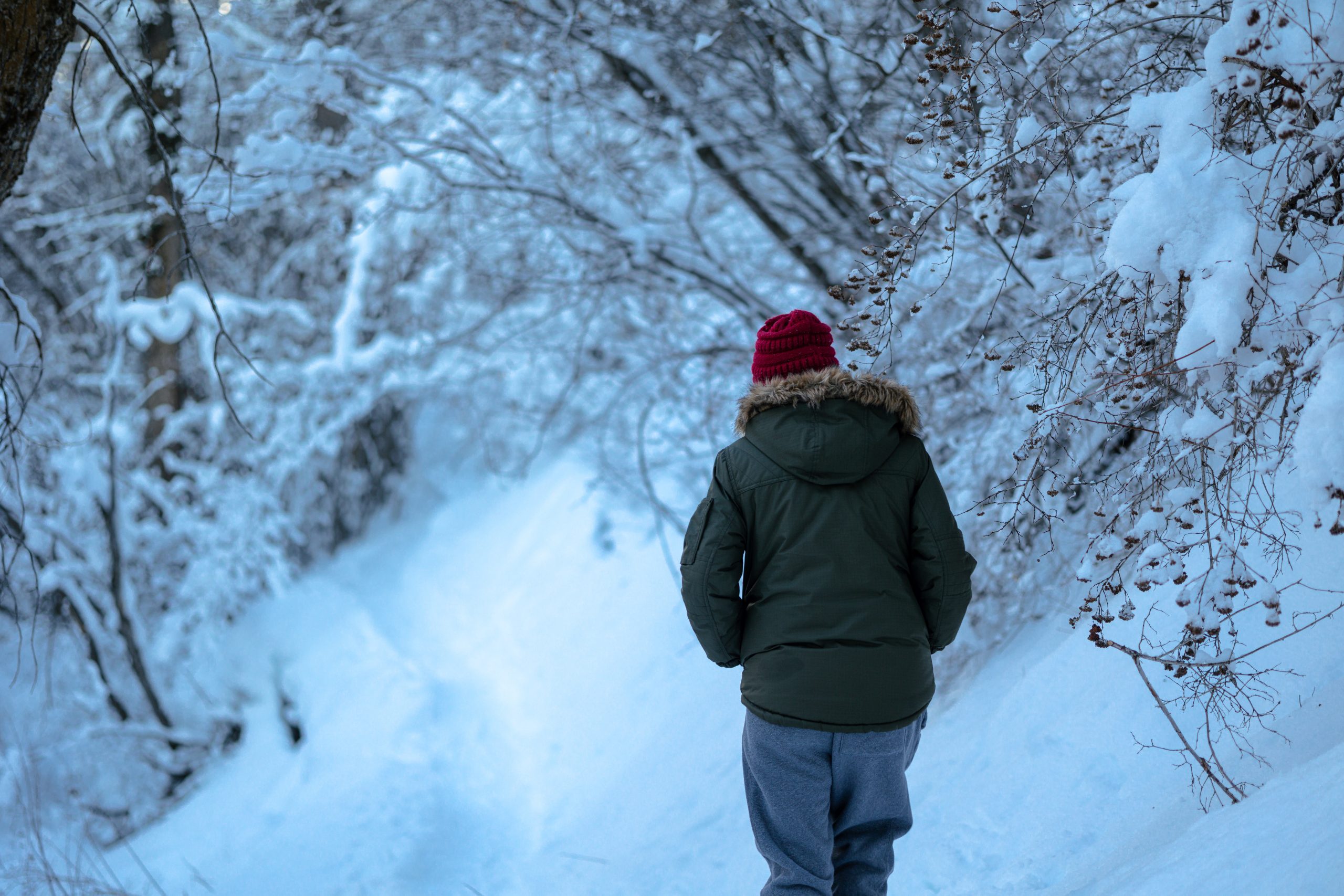 joshua-hoehne-n9tpfunun7w-unsplash