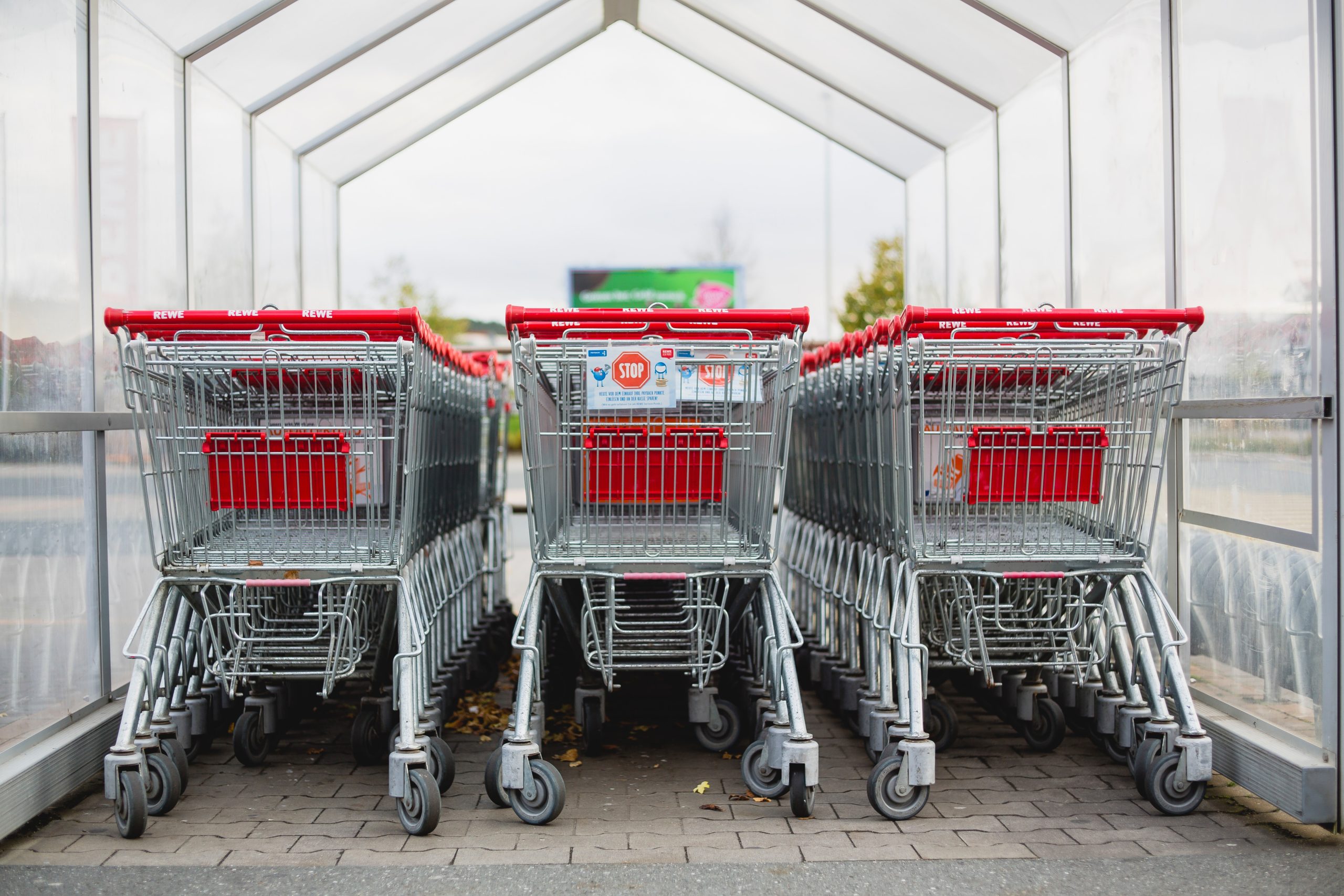 markus-spiske-wl7pwimb78q-unsplash