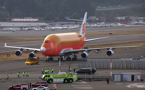 wienerplane