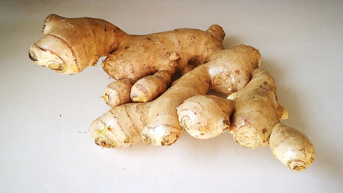 1200px-ginger_rhizome