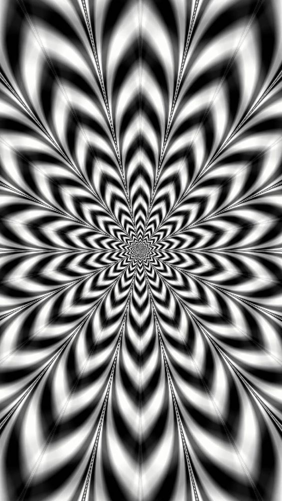52c4606e9fb834776a768e7183e1660c