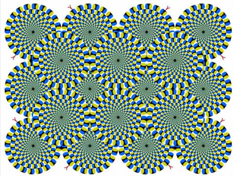 745-optical-illusion-rotating-snakes-00-00-04