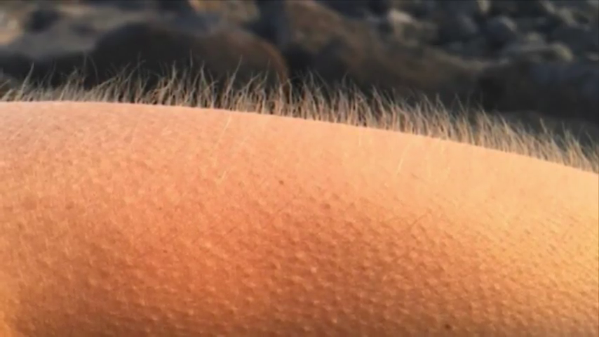 878-the-spiritual-meaning-of-goosebumps-why-you-really-have-them-universal-iris-00-03-36