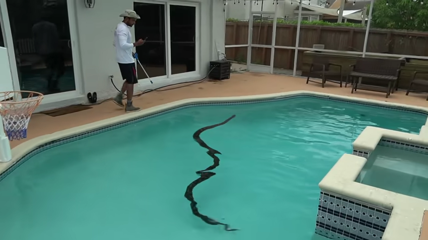 887-15-foot-monster-stuck-in-pool-drain-00-00-02