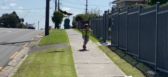 887-australian-boys-magpie-attack-caught-on-camera-7news-00-00-06