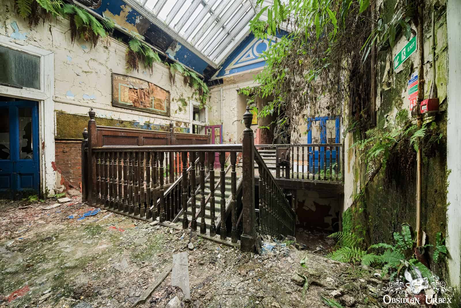 abandoned-fern-school-scotland-plants-taking-over-upper-floor