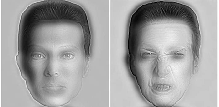 dr-angry-and-mr-calm-created-by-aude-oliva-and-phillipe-g-schyns-reprinted-by