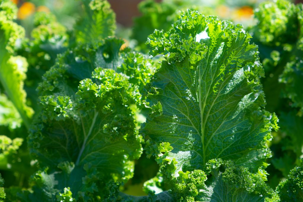 leafygreens