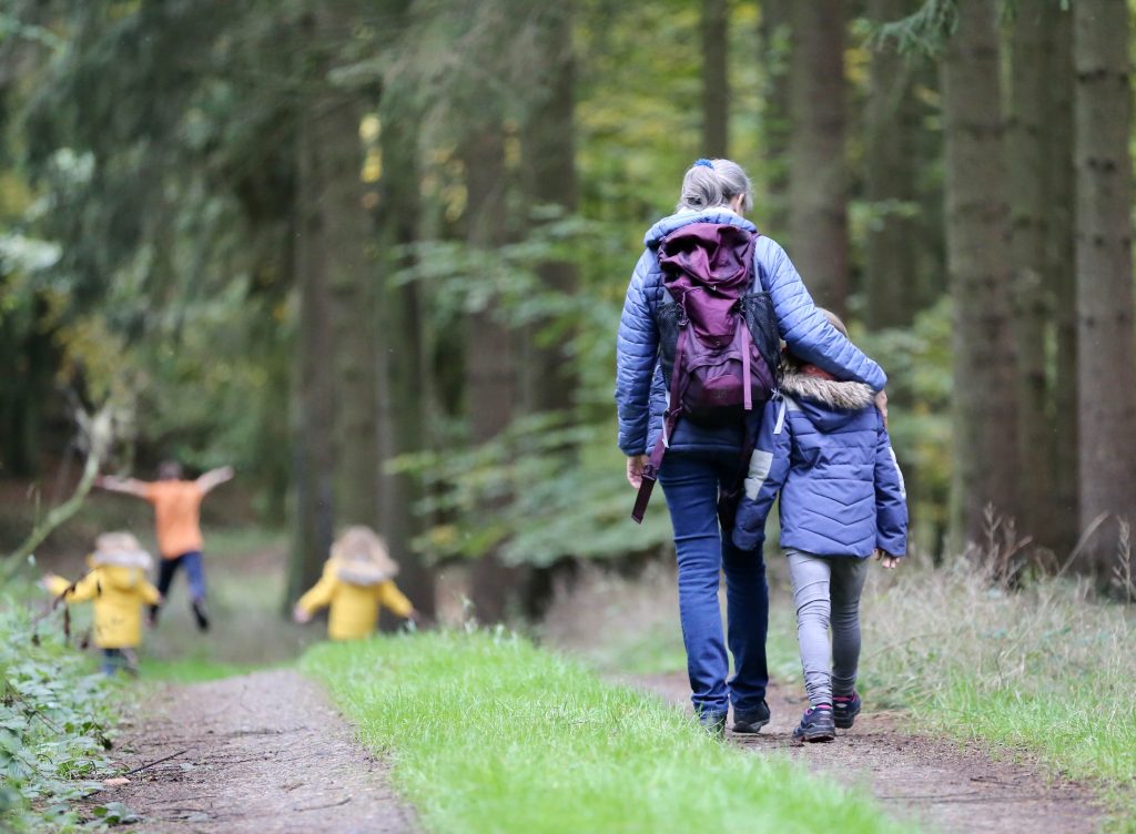 woodwalk