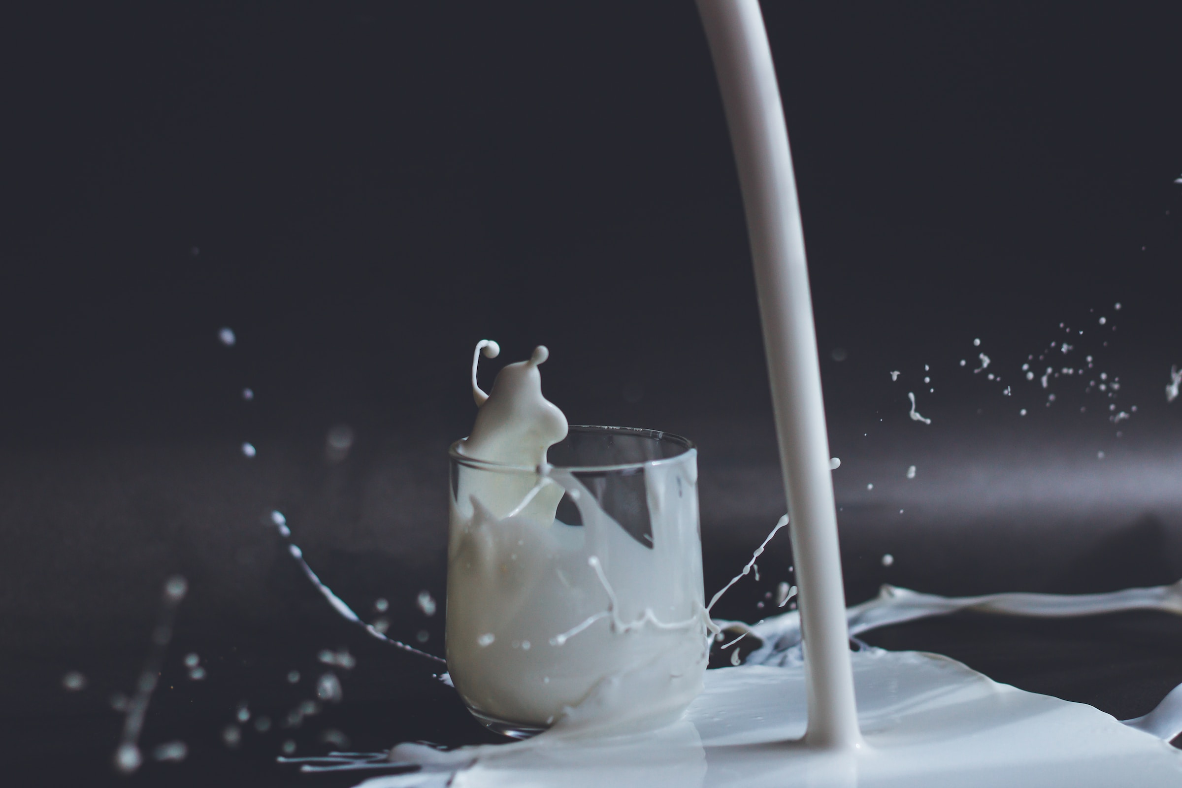anita-jankovic-c7pt4pzmcna-unsplash