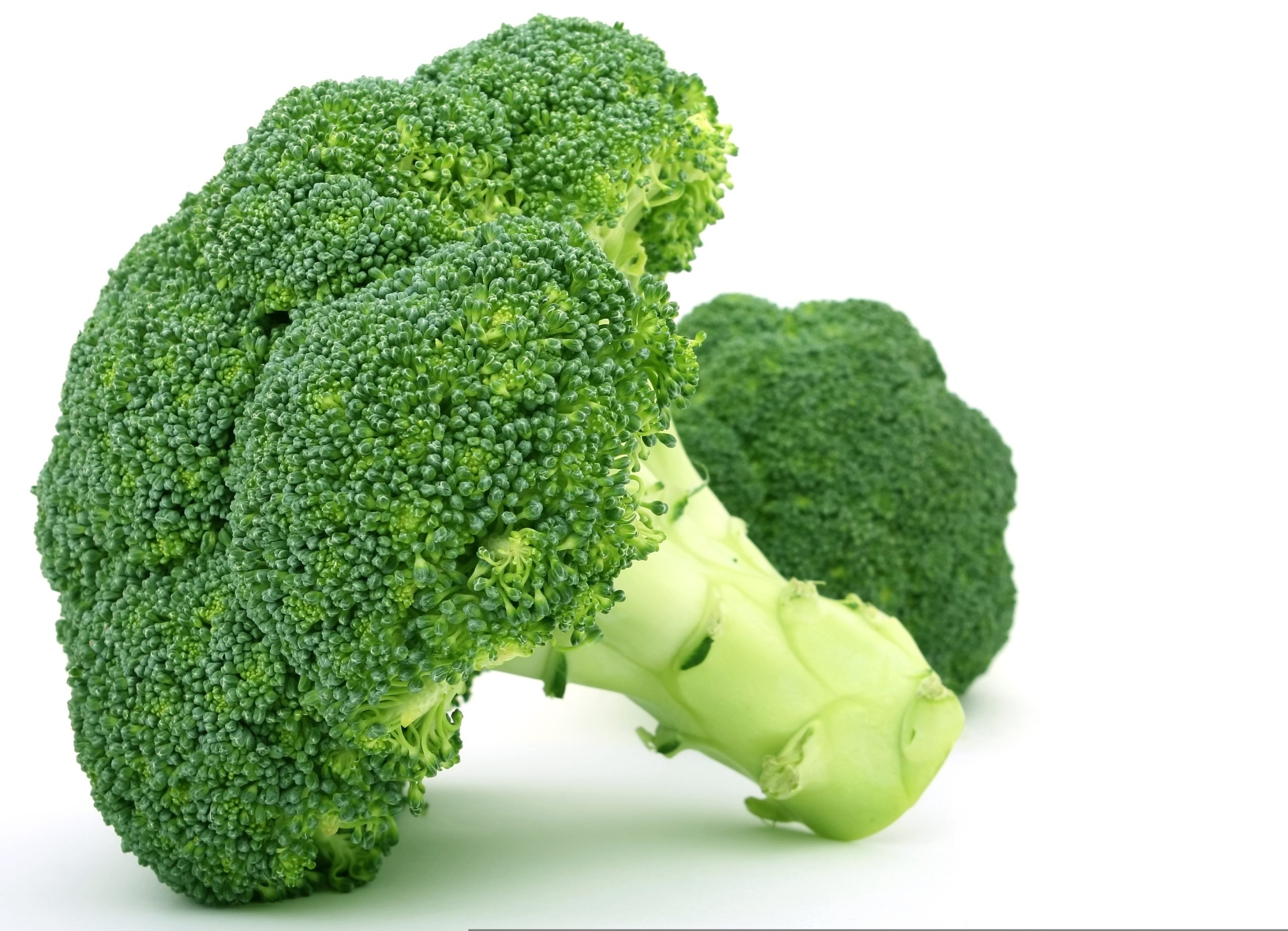 broccoli-1238250