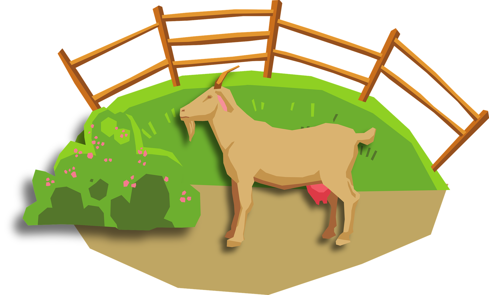 goat-5779962_1920