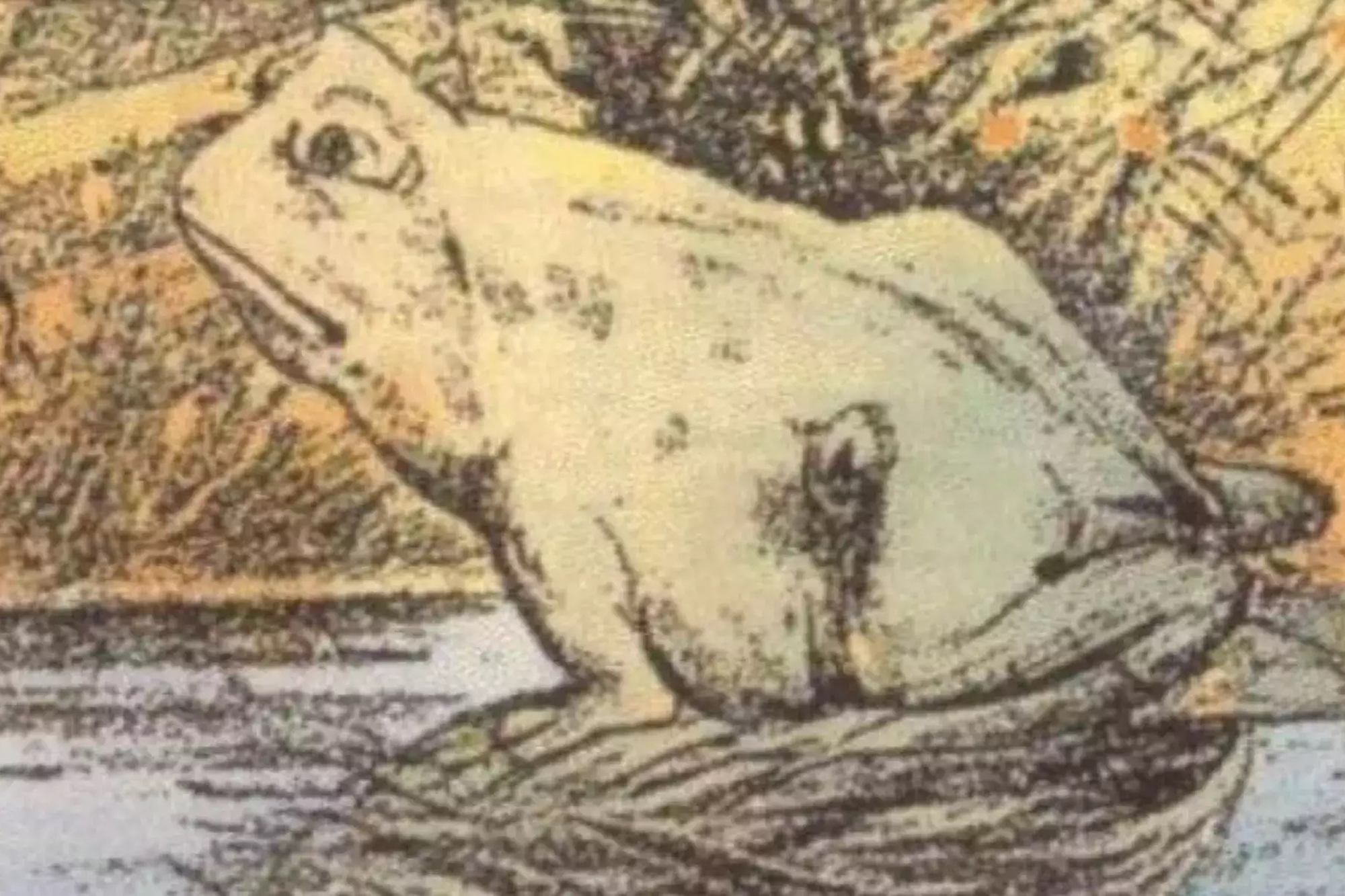 spot-the-hidden-horse-in-this-frog-optical-illusion-what-it-reveals-about-your-personality-2