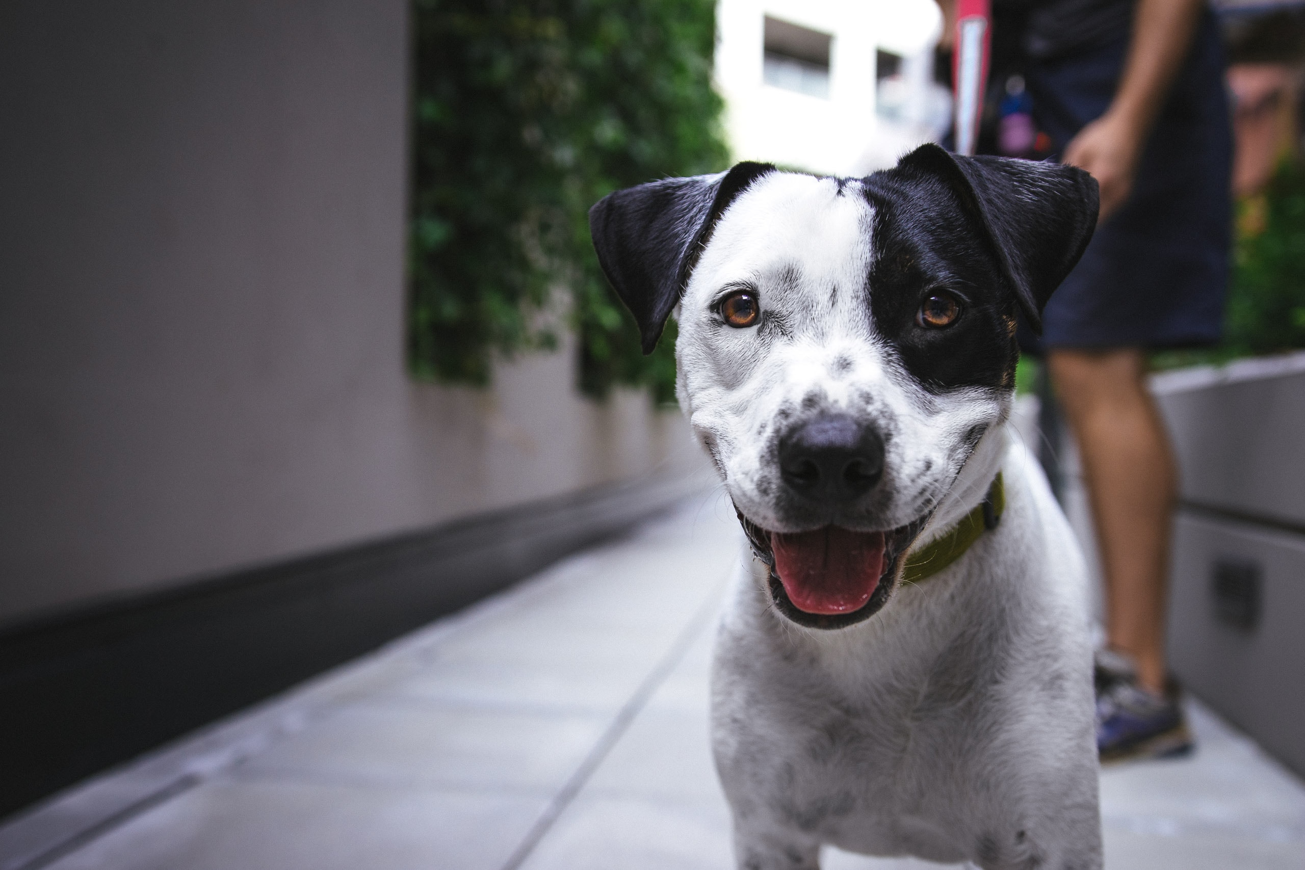 justin-veenema-nh1d0xx6ldk-unsplash