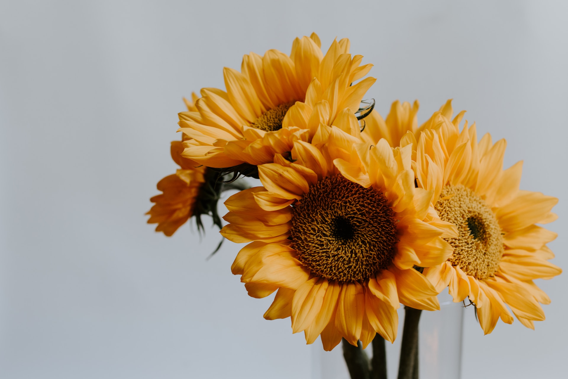kelly-sikkema-qpoem3wkkw8-unsplash