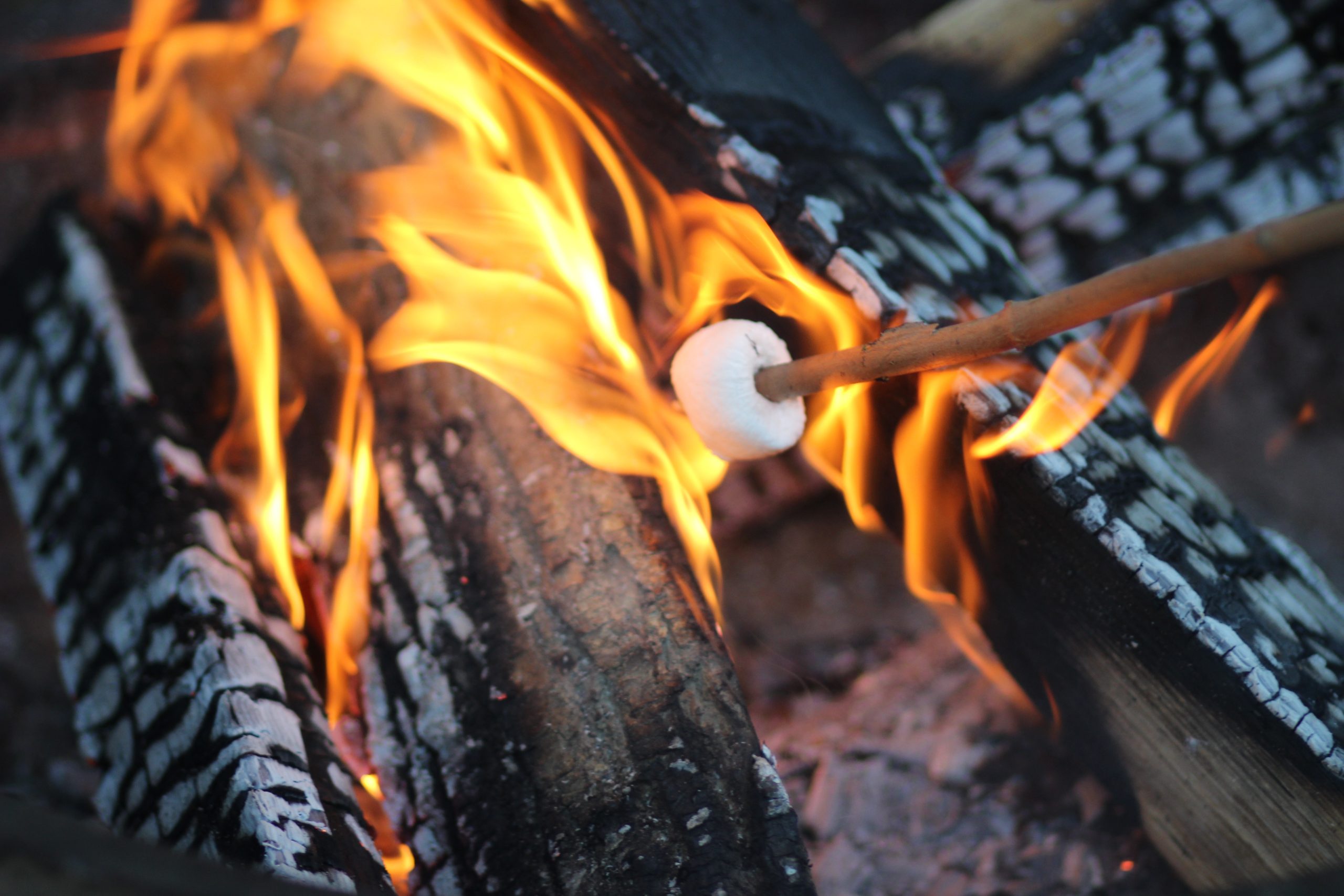 marshmallow