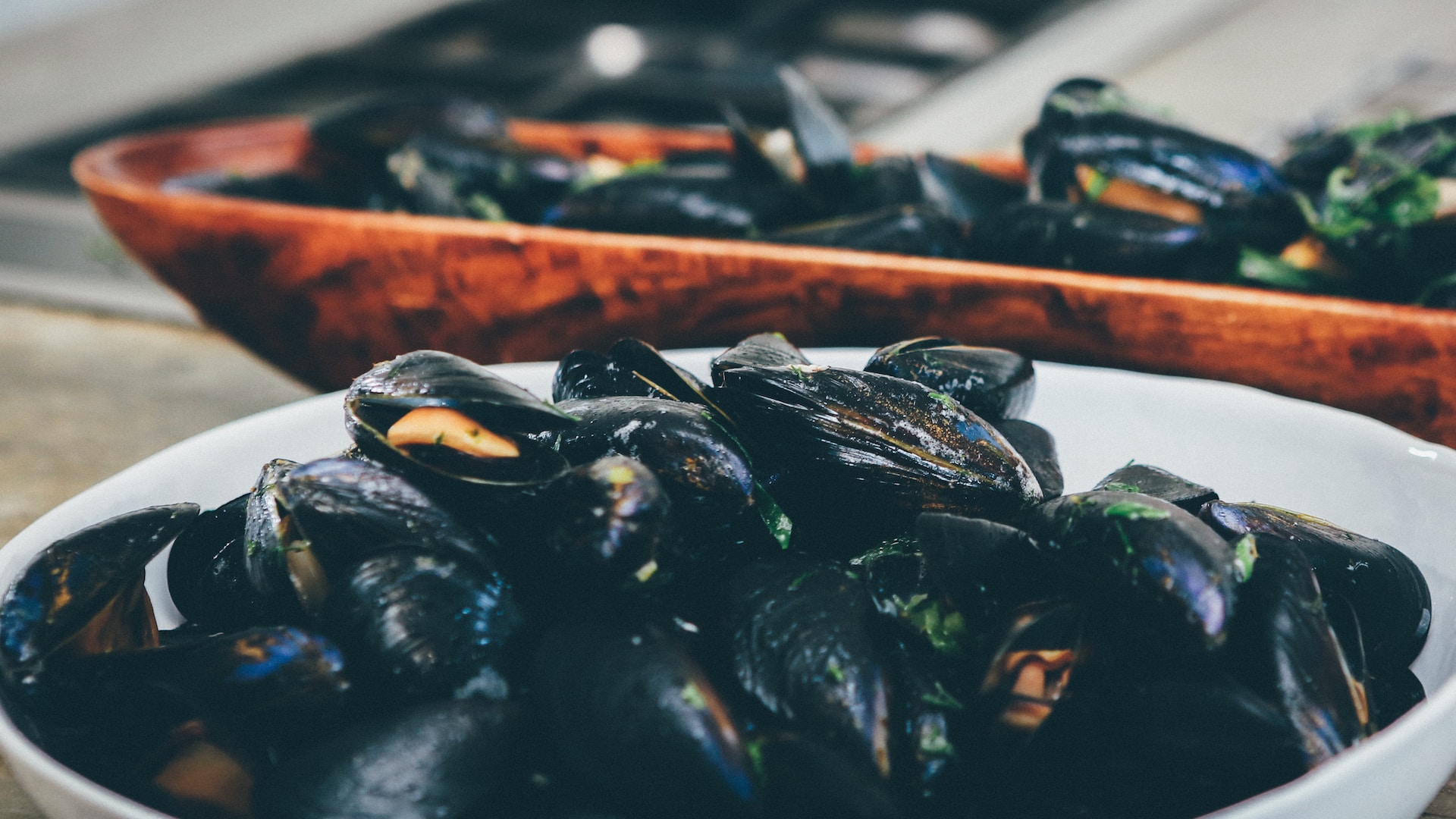nick-karvounis-ajcn8dyd_7w-unsplash