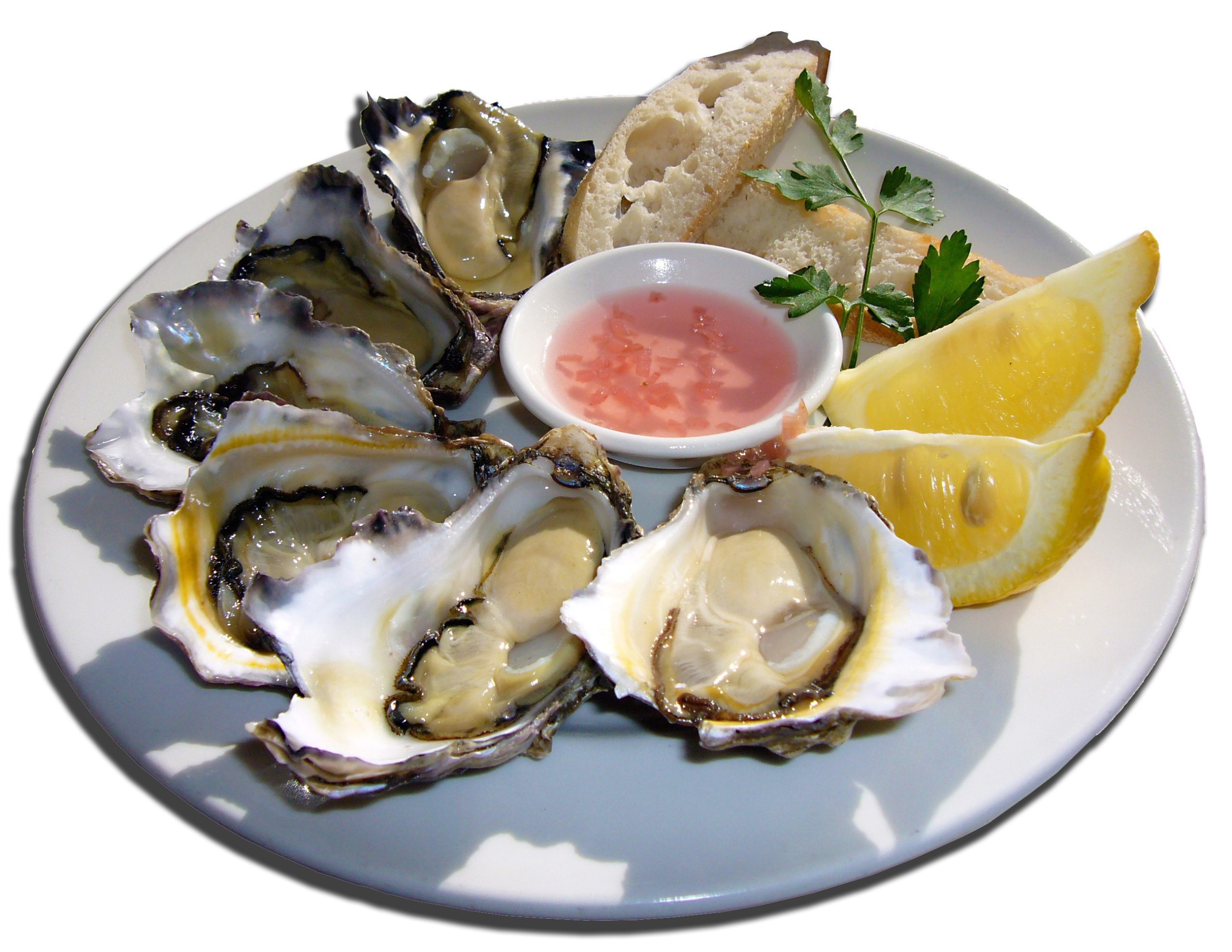oysters-681034