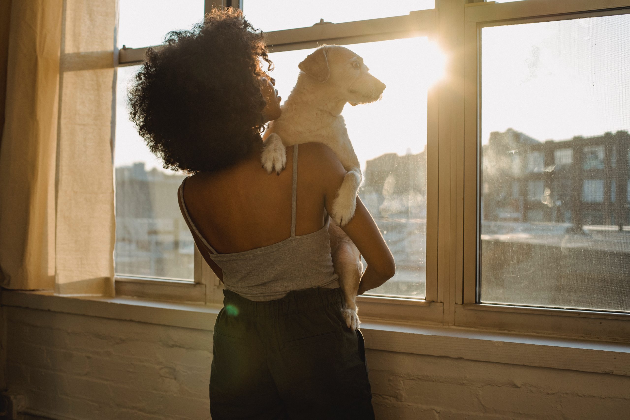 pexels-samson-katt-5256719