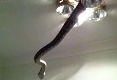 romhw9hmjsl1g8gofpsjbzt7c2evfmytnnveactnsto