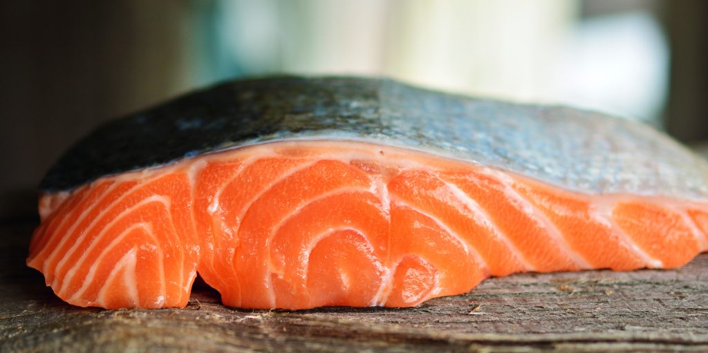 salmon-3139390