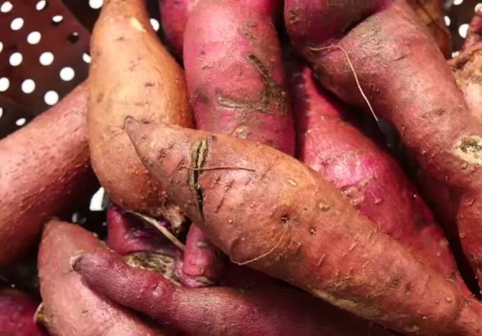 1043-are-sweet-potatoes-healthy-heres-what-experts-say-time-00-00-00-9755823-1