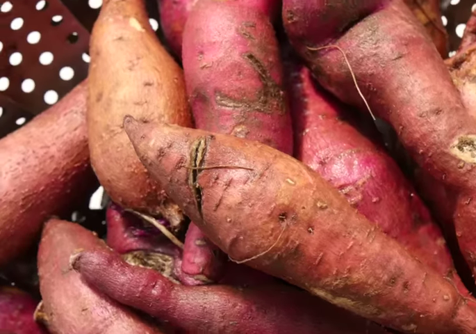 1043-are-sweet-potatoes-healthy-heres-what-experts-say-time-00-00-00-9755823